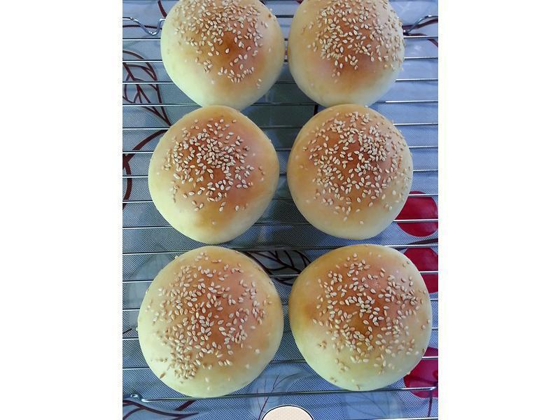 Ϻ�Ɽ����~������