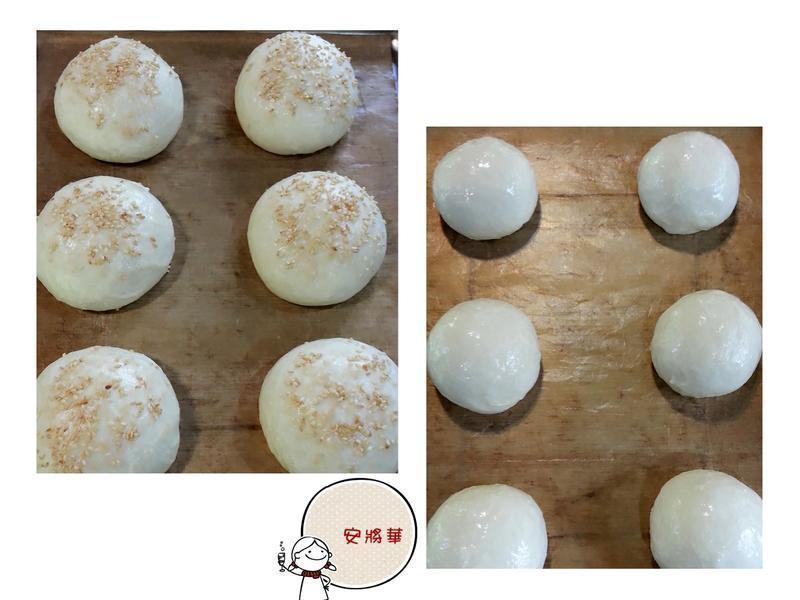 Ϻ�Ɽ����~������