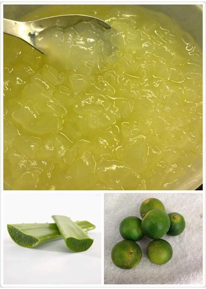 ���������յ�«��������