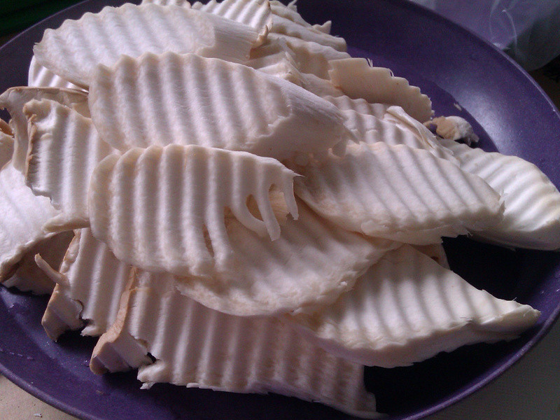 �صı�Ƭɳ��������