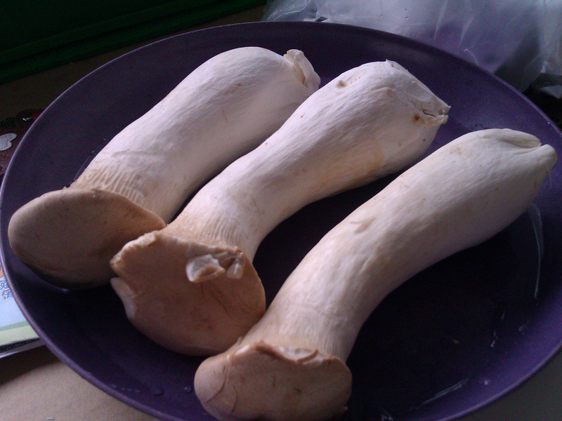 �صı�Ƭɳ��������