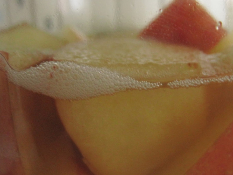 ������ƻ����ĸ��������