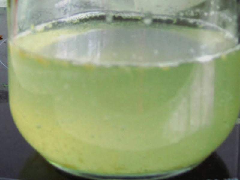 ������ƻ����ĸ��������