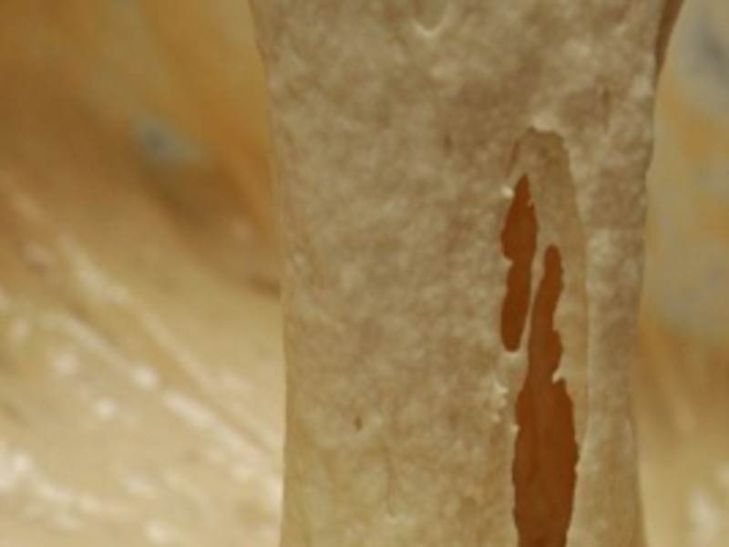 ������ƻ����ĸ��������