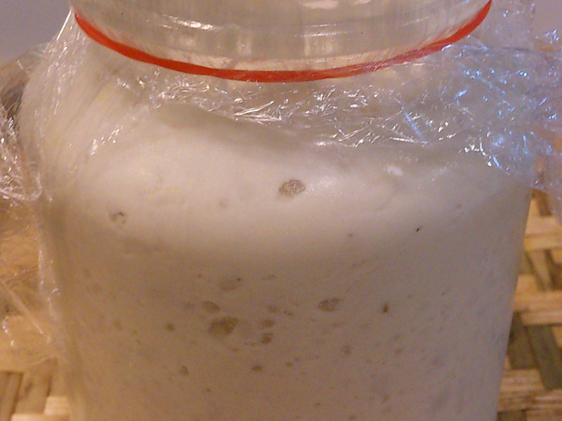 【自制苹果酵母】的做法