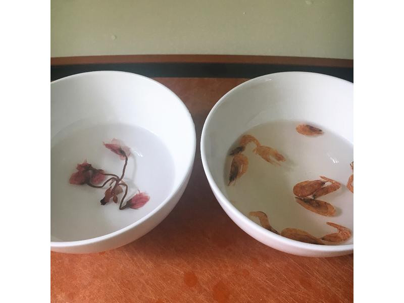 ӣ��������������