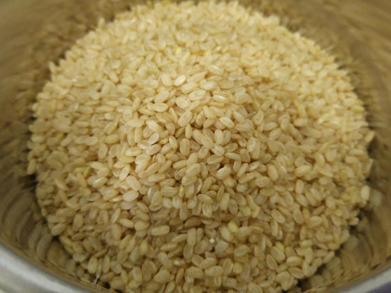 ��ѿ�׽����������������