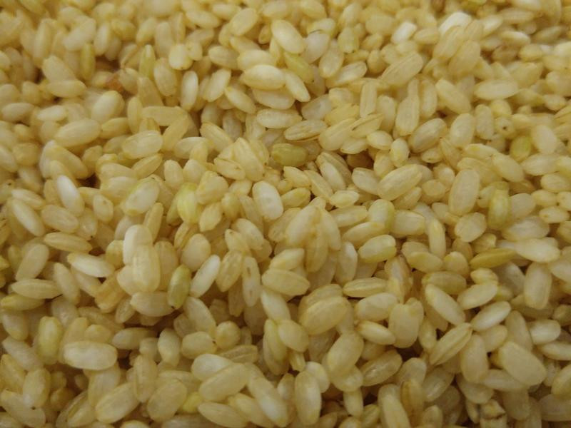 ��ѿ�׽����������������