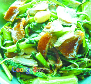 ��ѼƬ���ٲ��ĵ�����