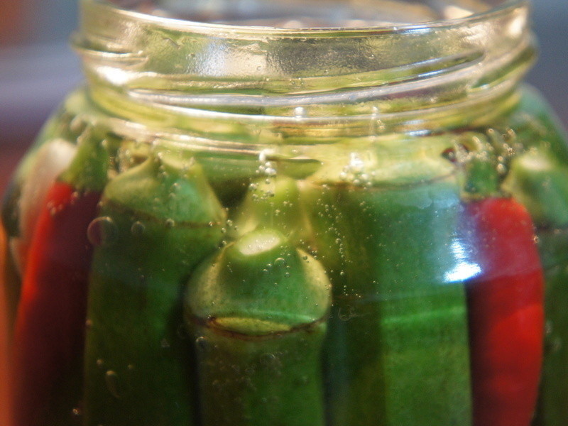 ����ݲ�(fermented okra)������