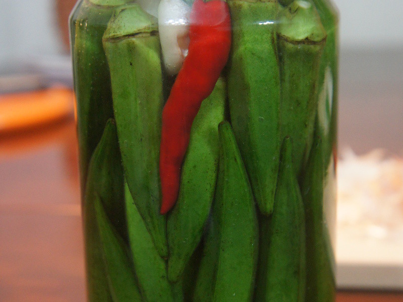 ����ݲ�(fermented okra)������