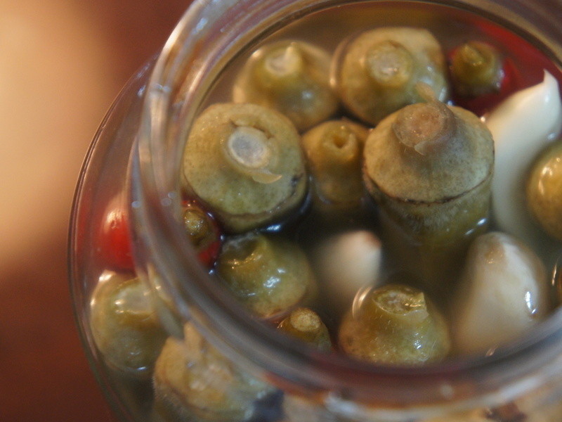 ����ݲ�(fermented okra)������