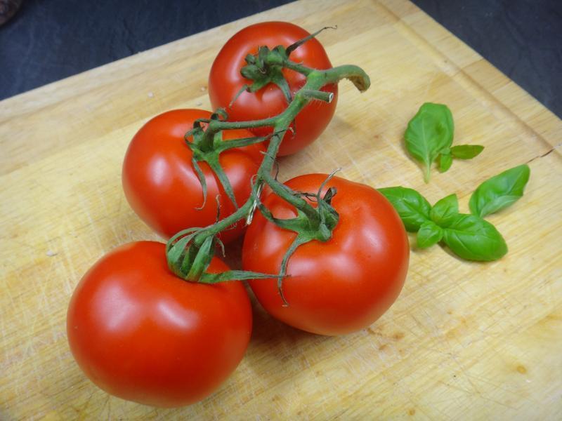 ��ʽެ��ɳ��������