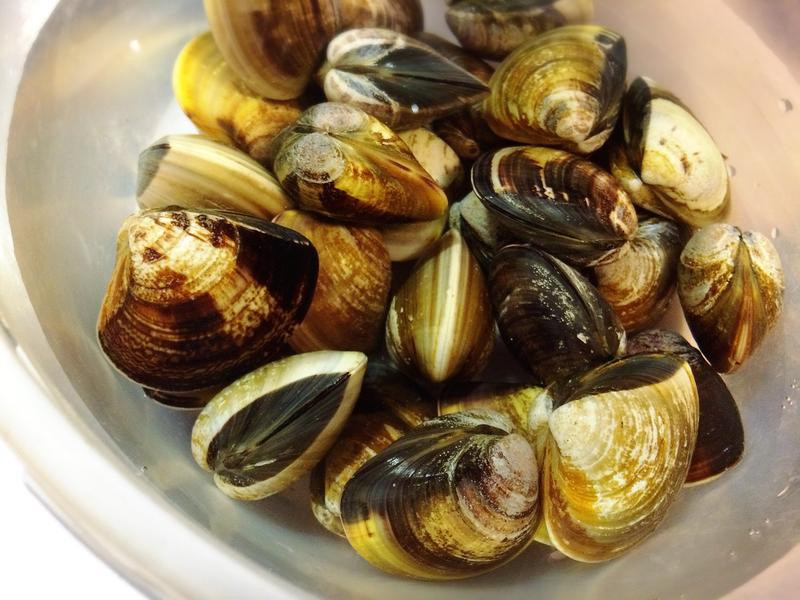 �������ʹ�������