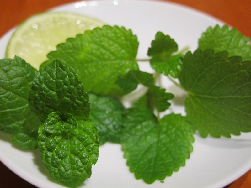 �����ʲ���ʿ�ɵ�����