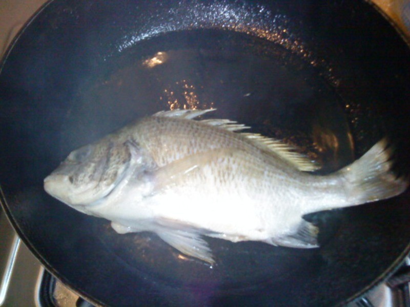 [��������10���ӳ����]��������(С�����)������