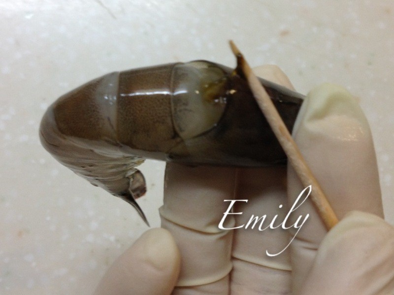 ������Ϻ��˿�ҡ����������������