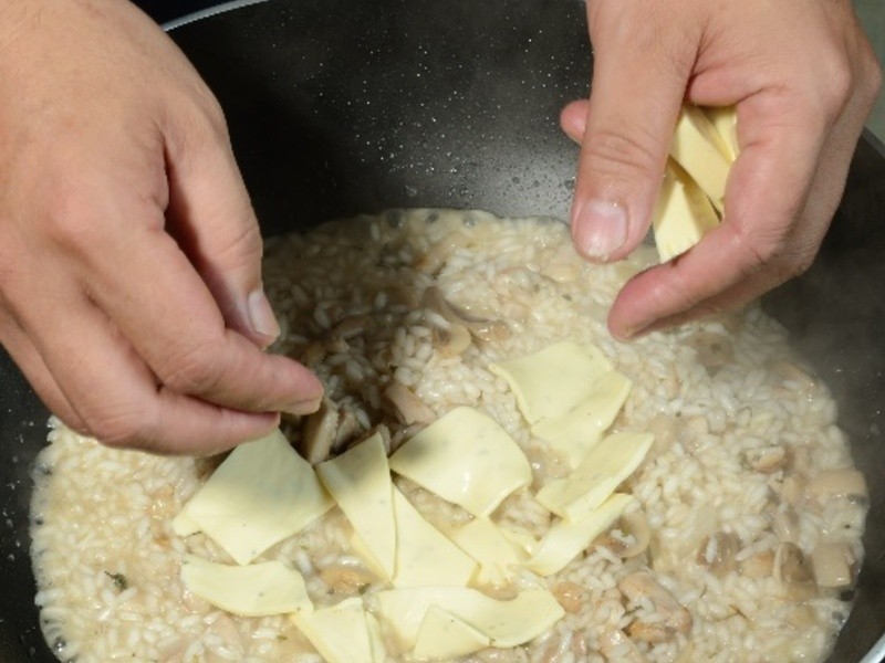 ֥˾����ʽ����������