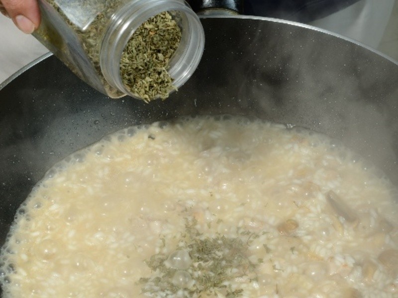 ֥˾����ʽ����������