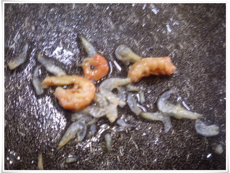 �����������ζ-�����˳�������������