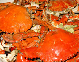 清蒸肉蟹的做法