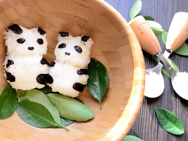 ��è����������˾������