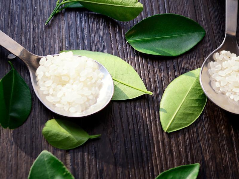 ��è����������˾������