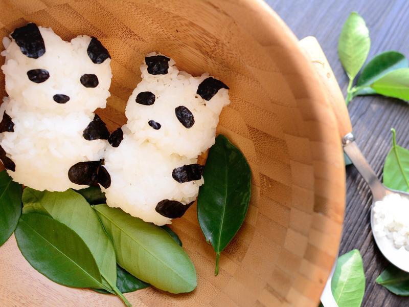 ��è����������˾������