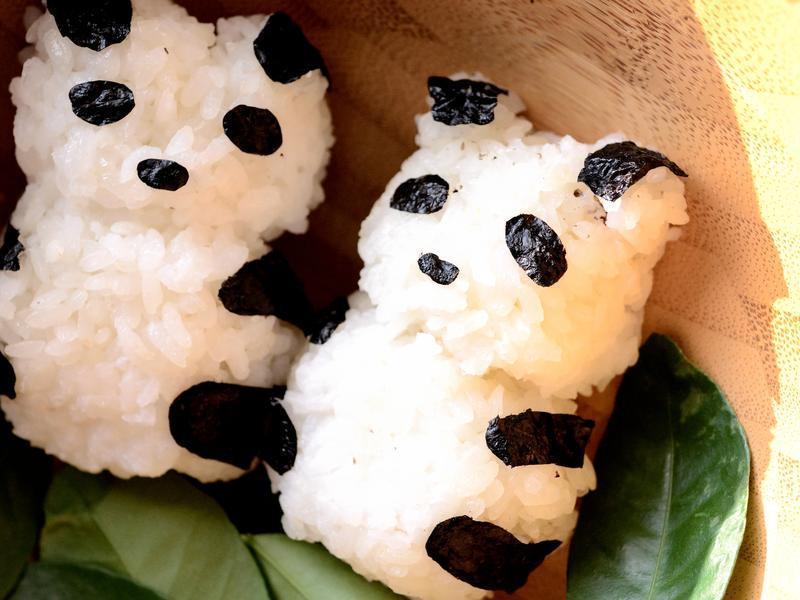 ��è����������˾������