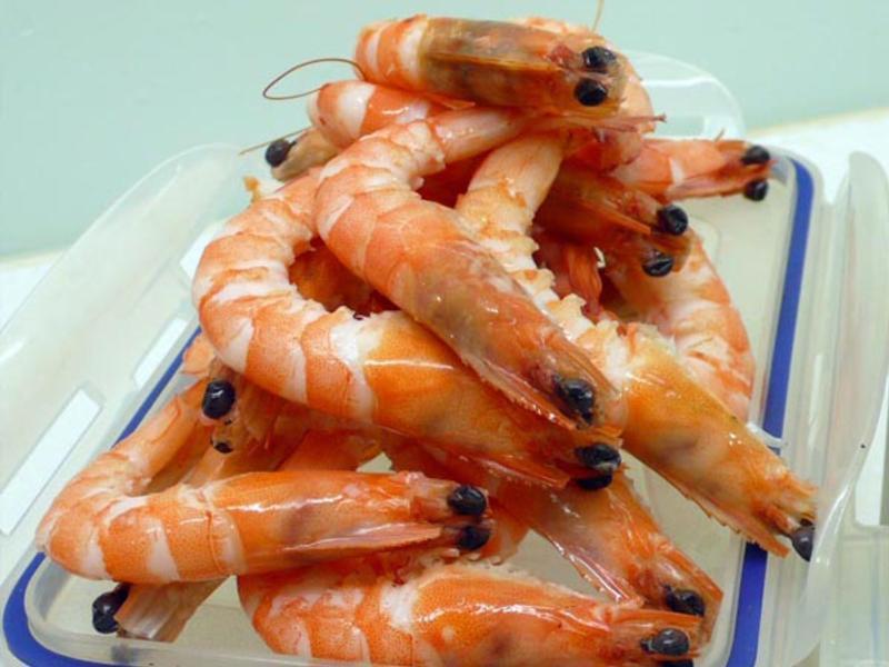 ˮ����Ϻ��Ȫ ��ʥ��ſ��3������