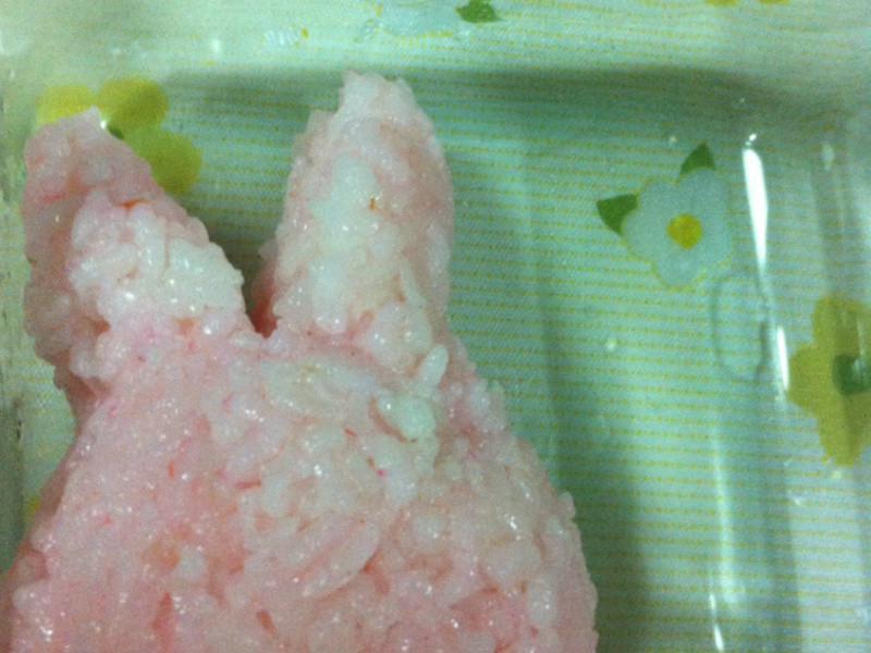 [����ʳ��]����è~�ۺ��õĴ���㵱������