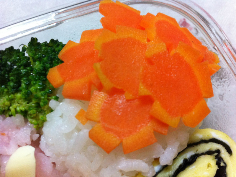 [����ʳ��]����è~�ۺ��õĴ���㵱������