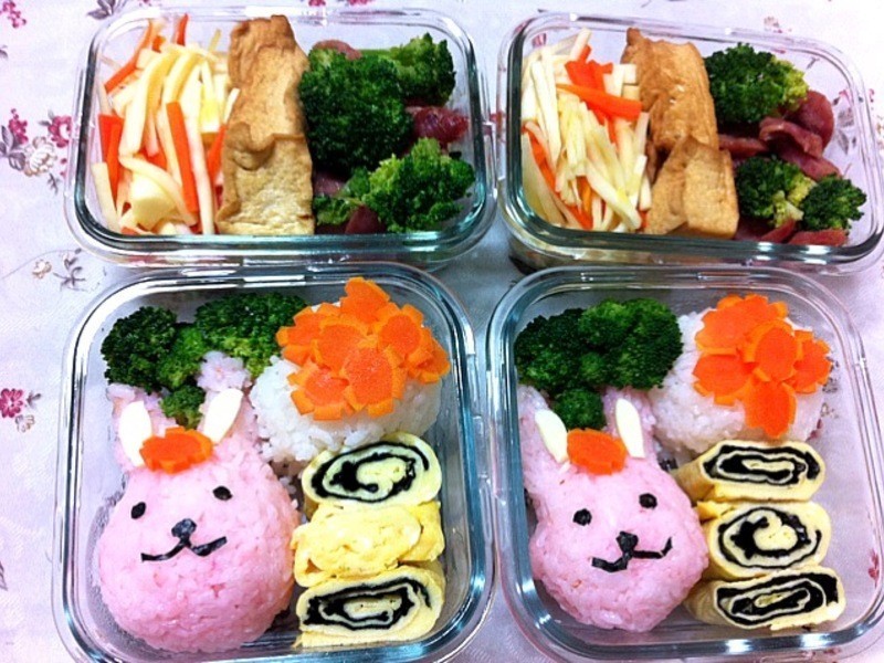 [����ʳ��]����è~�ۺ��õĴ���㵱������