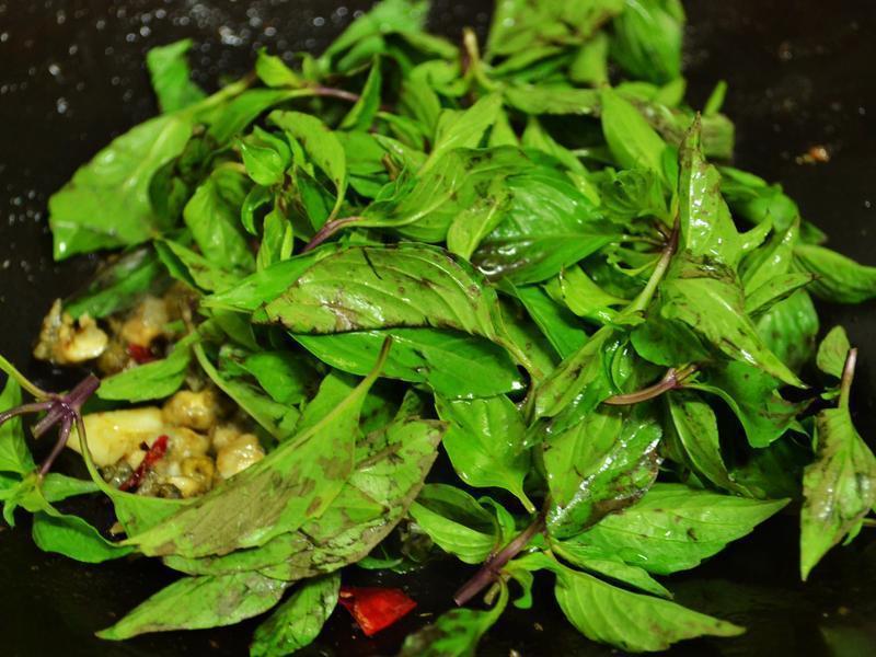 ���㳴���������