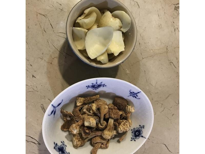 ����Ģ���ٺ�������������