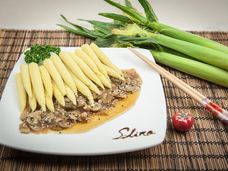 ��������Ģ���ͷ罴������