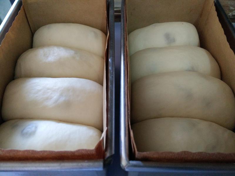 ���׾�΢��ʱ�⡿��������������˾������