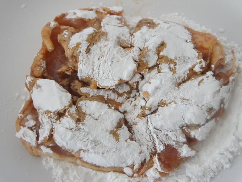 ��ȼ����ŵ�����