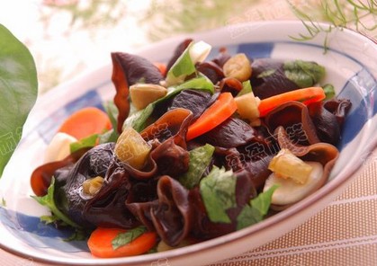 Ұɽ������ľ��������