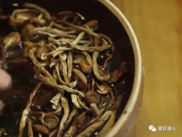 ��������ţ�������