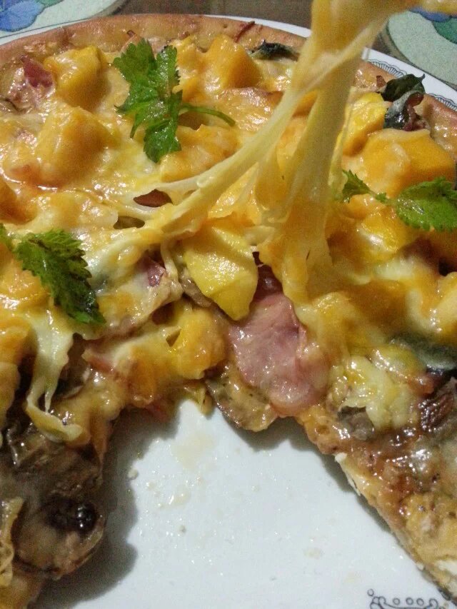 ��â�������������