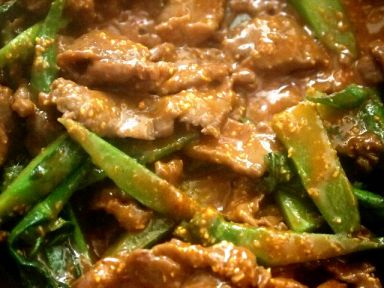 ɳ��ţ�ӵ�����