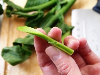 ɳ��ţ�ӵ�����