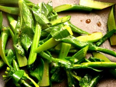 ɳ��ţ�ӵ�����