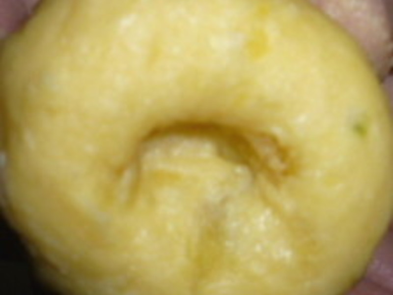 [�����һ�������]ެ���ڱ�������ͷ������