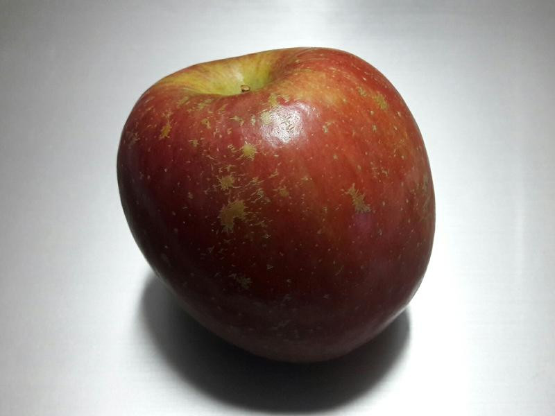 ����DIYƻ����������