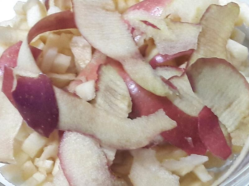 ����DIYƻ����������