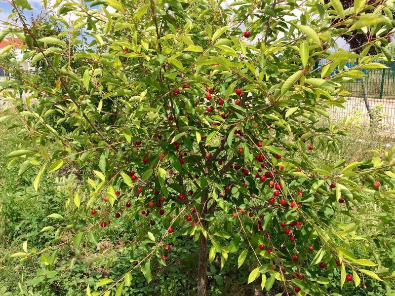 ��ӣ�ҹ���������