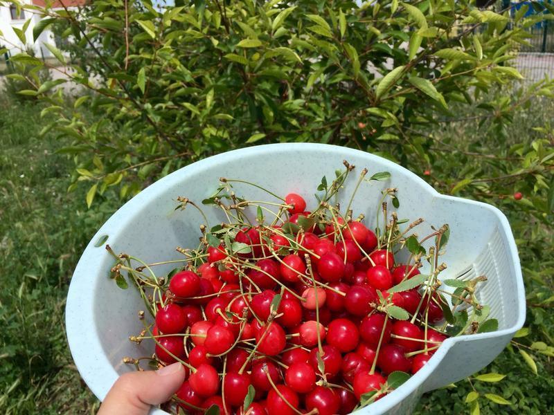 ��ӣ�ҹ���������