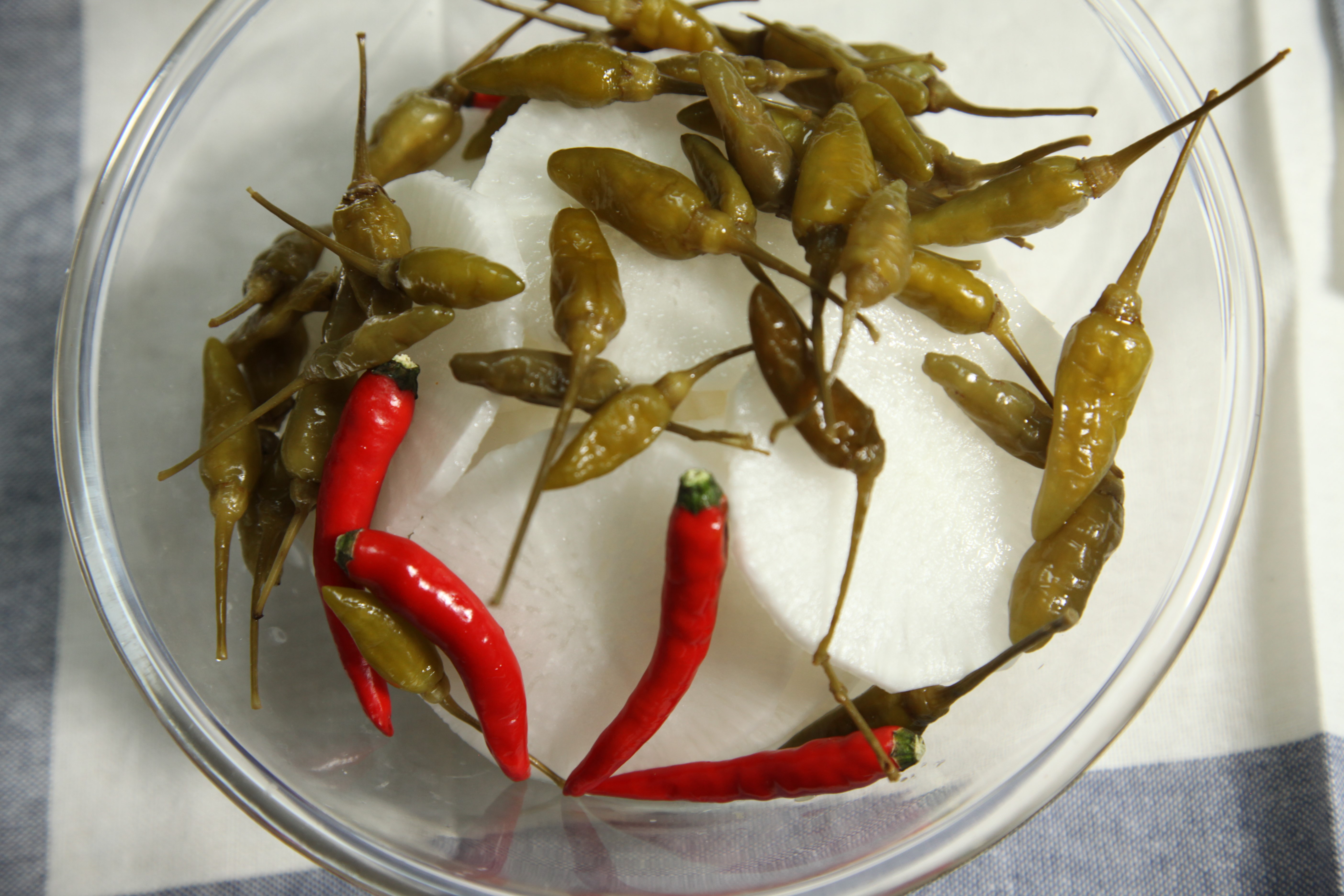 �м��ʳ��� | ��ѩ�����ͣ���ˬ���ܲ�������